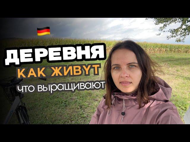 Как живут в деревнях в Германии / Что выращивают на полях / Работа в поле