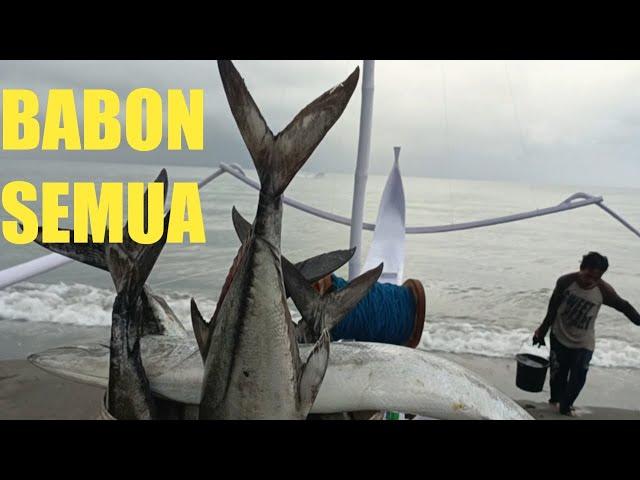 MANCING GT BABON SEMUA