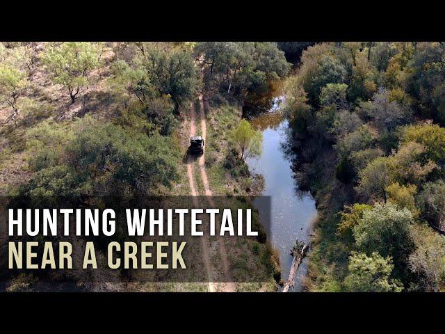 Hunting Whitetail Near a Creek