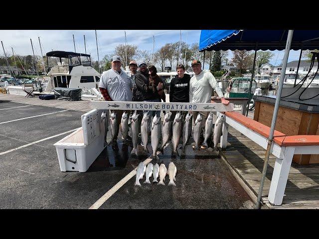 Lake Ontario Salmon Smackdown