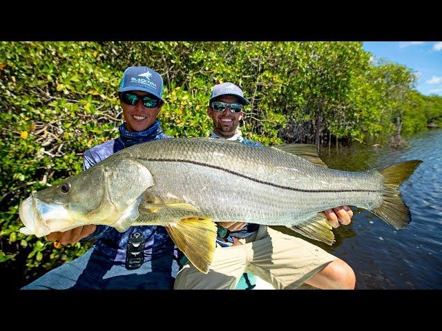 MASSIVE Topwater Snook Fishing