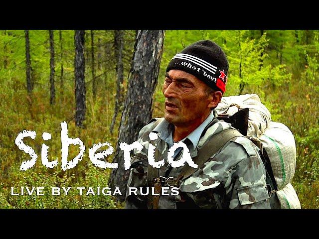 Siberia. Living by Taiga Rules 3. / Bushcraft in Siberia. Wilderness Survival