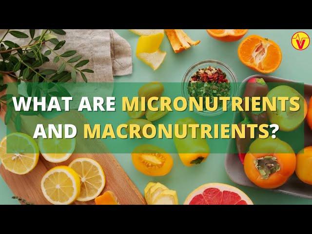 What Are Micronutrients And Macronutrients ? | VisitJoy