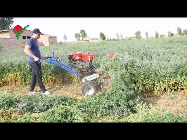 Alfalfa cut machine