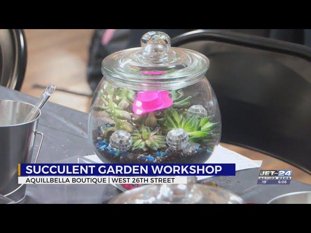 Novice gardeners learn tips to succeed in caring for succulents