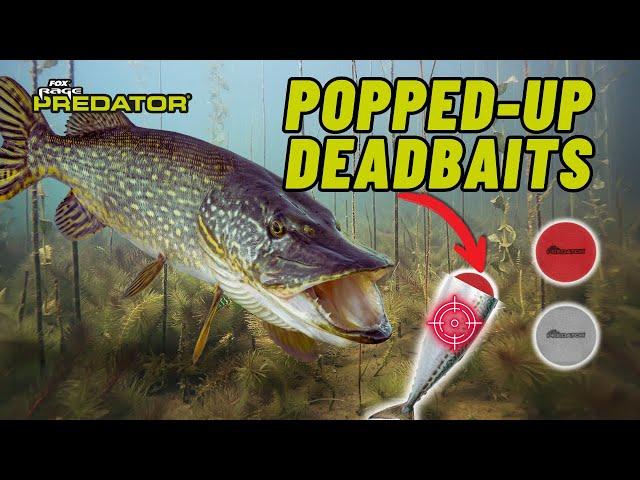 Gain a HUGE EDGE with this technique | How to catch pike with popped up deadbaits | Pike Tutorial