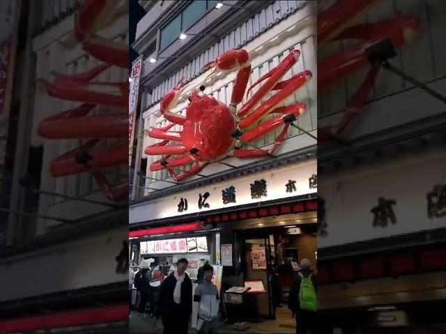 Crazy Osaka