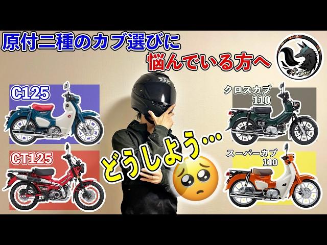 【購入検討中】原付二種のスーパーカブ/ハンターカブ/クロスカブのメリット＆デメリットを徹底調査