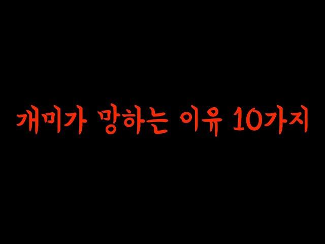 개미가 망하는 이유 10가지---- 망하는 이유를 알면 성공 할 수 있다!