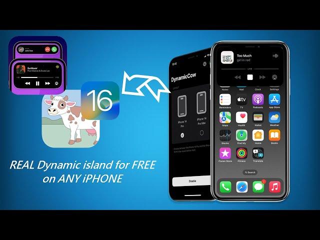 How to enable REAL Dynamic Island for FREE on ANY iPhone running iOS 16 - 16.7.5 [DynamicCow]