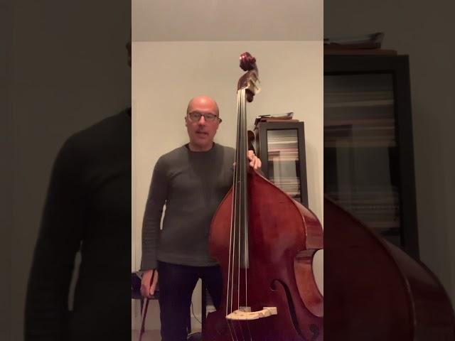 Progressive repertoire for the double bass volume two by George Vance Impertinence