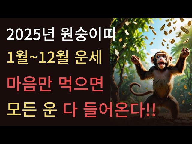 2025년 먼저보는 을사년 원숭이띠 월별 운세2025년 금전,귀인,문서운 시원하게 들어온다! 삼재 이후 새롭게 시작됩니다!! 56년생 68년생 80년생 92년생 원숭이띠 운세