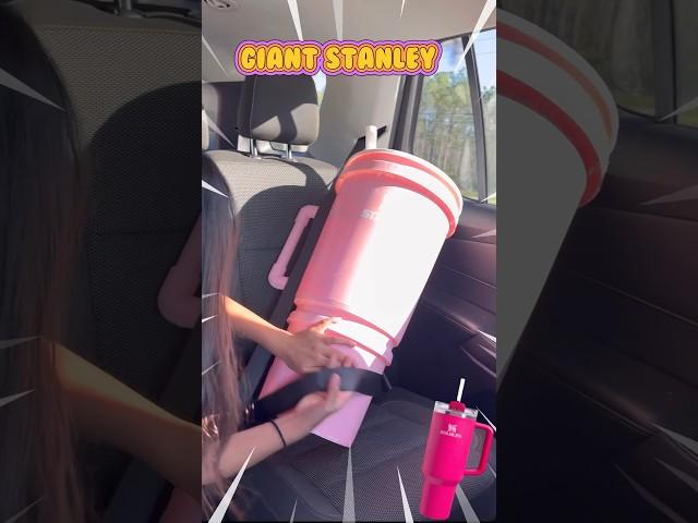 Daughter brings giant Stanley out in public! 