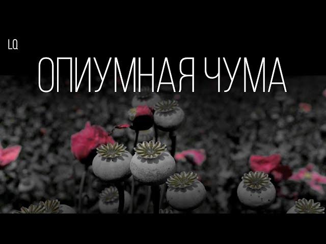 ИСТОРИЯ | Опиумная чума, страница из истории Китая