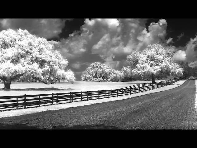 Convert Your DSLR to Infrared