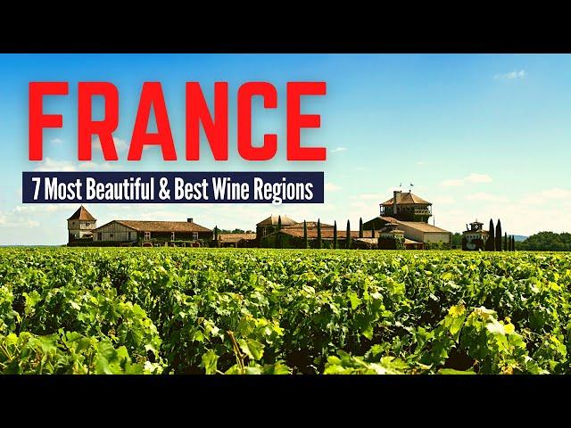 7 Most Beautiful and Best Wine Regions in France to Visit | France Travel Guide