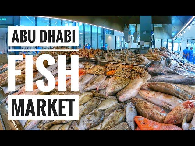 Mina Fish Market Abu Dhabi, UAE