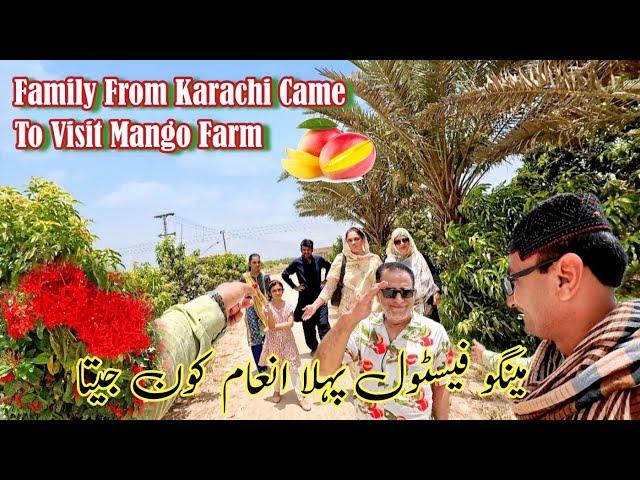 Family from Karachi to visit mango farm | First prize in Mango Festival | Mango season