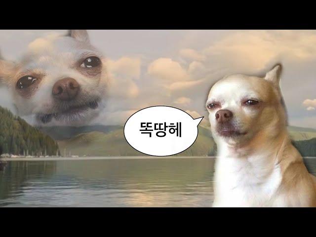 [CCM Playlist] 똑땅할 때 듣는 찬양