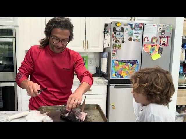 MASSIVE TILAPIA Escapes Gator... THEN WE EAT IT! Florida Catch & Cook Viva Family