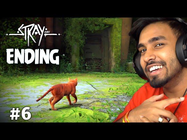 THE END | STRAY GAMEPLAY #6