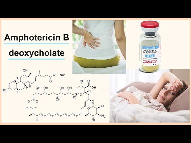 amphotericin B deoxycholate