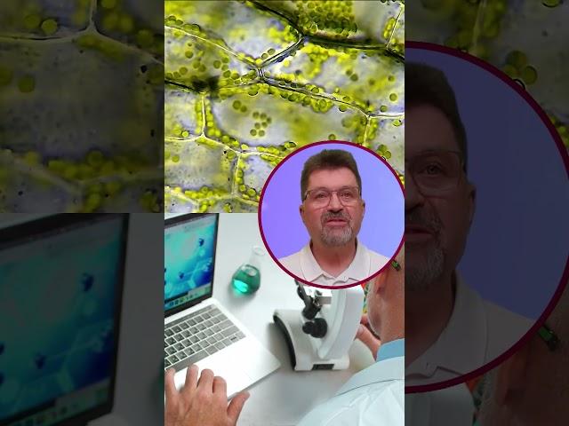 Синдром хронической тазовой боли — что это? #простатит