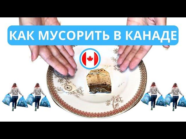 Правда ли что Ванкувер самый чистый город в Канаде?