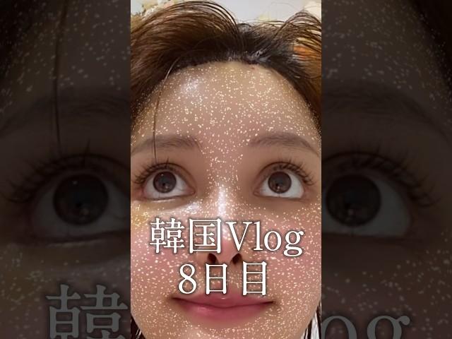 8日目 韓国Vlog #渡韓 #整形