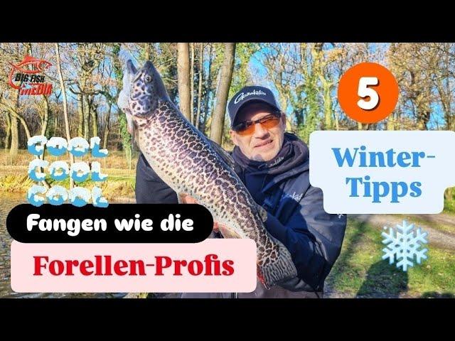 WALDEMAR verrät die Erfolgs-Taktik: Mit diesen 5 TIPPS fängst Du im WINTER besser am FORELLENSEE