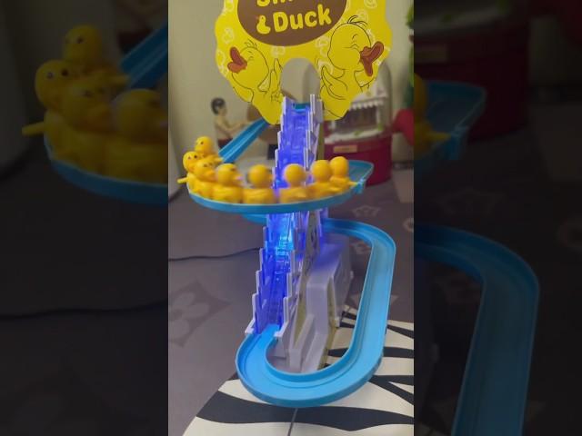 ISSEI funny video  Play with Small Duck 