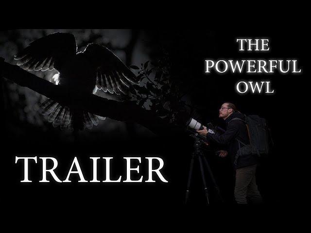 The Powerful Owl - Documentary - TRAILER