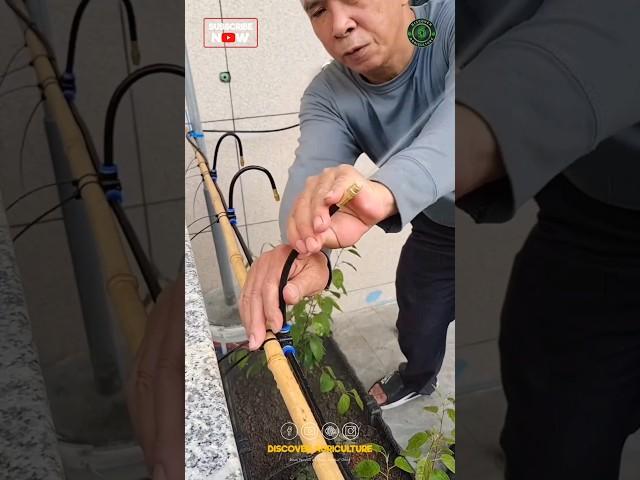 New Bending Fog Irrigation System | New Irrigation Technology #shorts