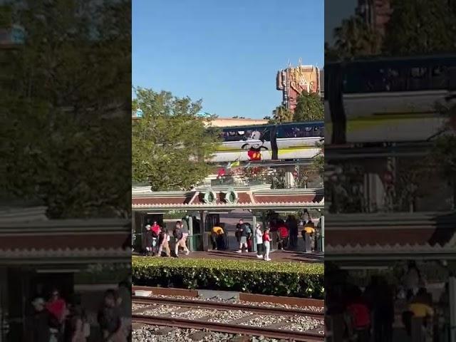 Modernrail￼ at Disney land