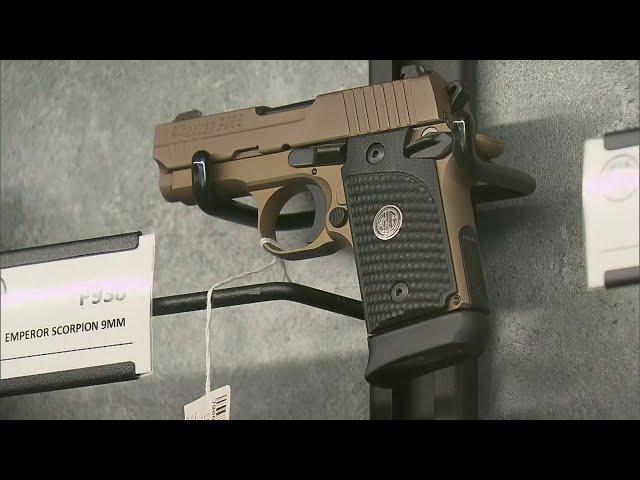 Spike In Sales Delays Background Checks For Firearms Buyers