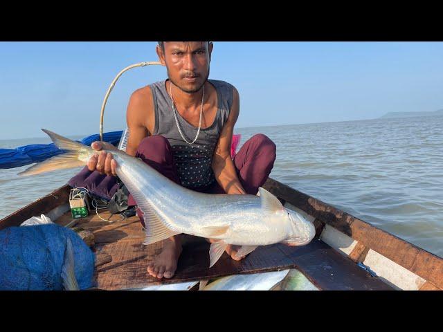 A Biggest Fishes Catching in Madhya Pradesh  ।। amazing fishing । Fishing।@FisherBoyDev7417