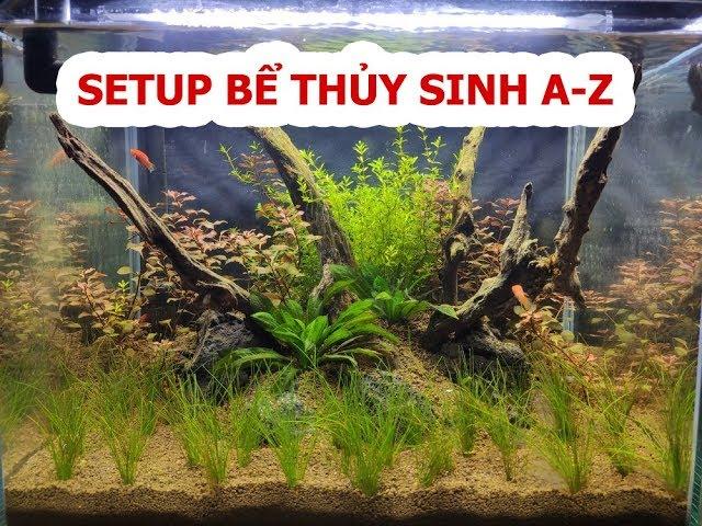 Hướng dẫn Setup bể thủy sinh từ A-Z không co2 | Aquarium setup No Co2