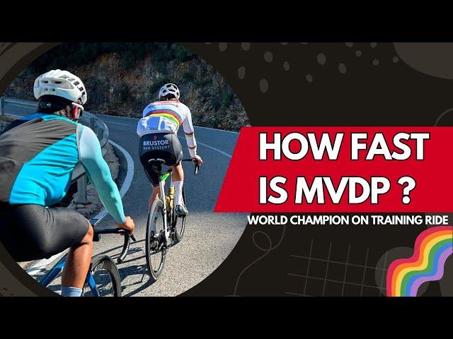  This is HOW the WORLD CHAMPION trains | On the wheel of Mathieu van der Poel