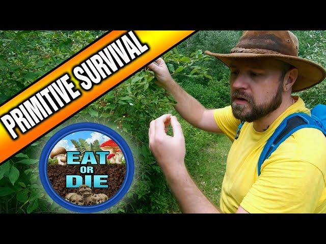 Most Poisonous and Deadly Plants: Primitive Wilderness Survival Food Skills (Eat or Die, Ep.3)