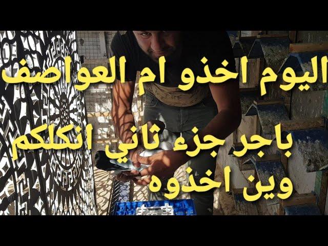 73يوميات سطح فارس الكربلائي اخذو ام العواصف ورا الفصل اليوم
