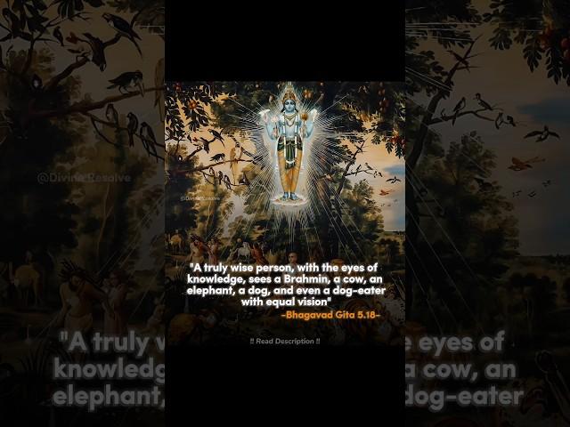 Wisdom Beyond Boundaries Equal Vision for All Beings #shorts #BhagavadGita #krishna  #Equality