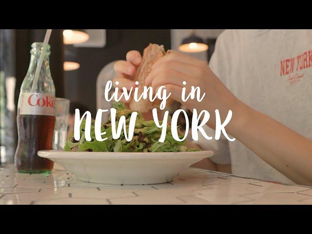 Living in New York / Solo Date in NYC, Heartwarming Story About New Yorkers, Central Park, Vlog