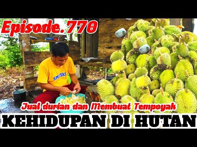 WIRTA KUNIL KUNIL JUAL DURIAN DAN MEMBUAT TEMPOYAK/ ASAM DURIAN | DI HUTAN Eps.770