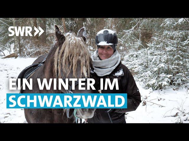 Warten auf den Winter – Herausforderung Klimawandel im Schwarzwald | Geschichte & Entdeckungen