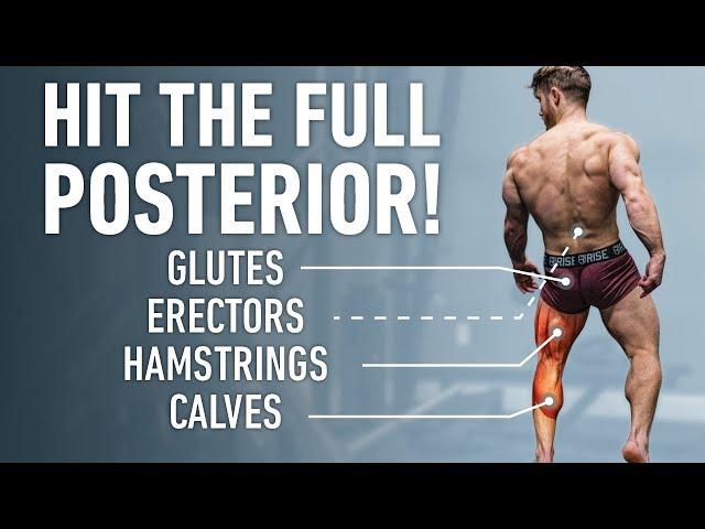 The Best Posterior Chain Focused Leg Day (Glutes, Hamstrings, Lower Back)