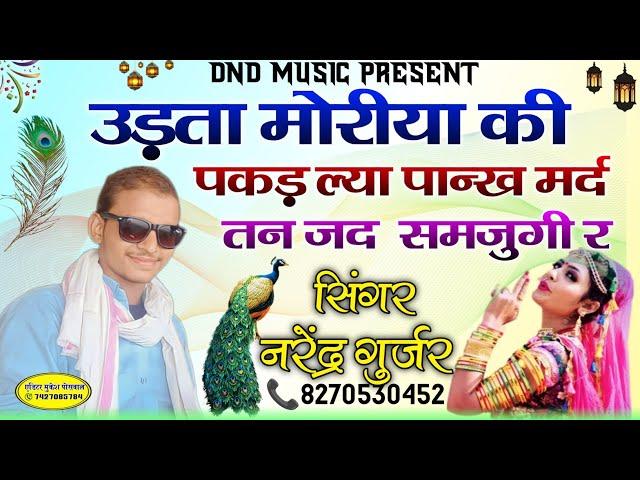 उड़ता मोरीया की पकड़ ल्या पान्ख मर्द तन जद  समजुगी र New Viral Song 2024 Singer Narendra Gurjar