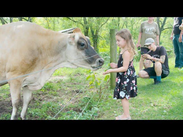 Lancaster Farm Sanctuary - Who We Are