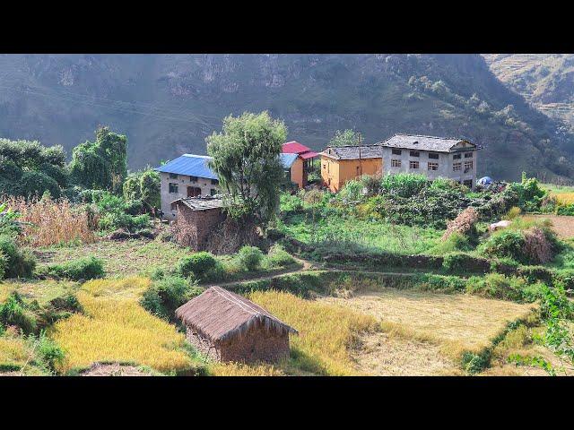 Very Relaxing and Peaceful Nepali Mountain Village Lifestyle || Close to Nature || IamSuman