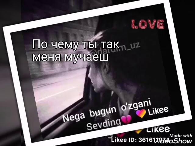 Дилам мешикани