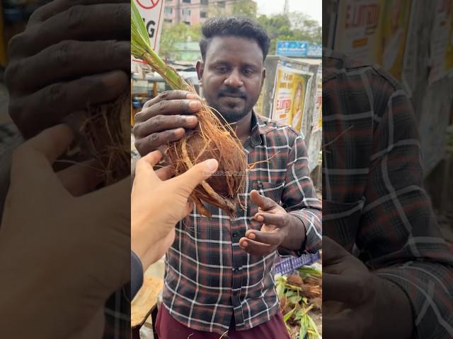 Amazing Edible Coconut Flower in India